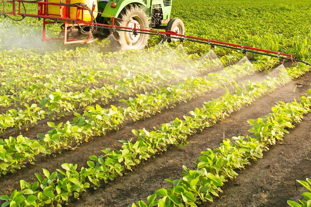 Tractor driving through a field of crops