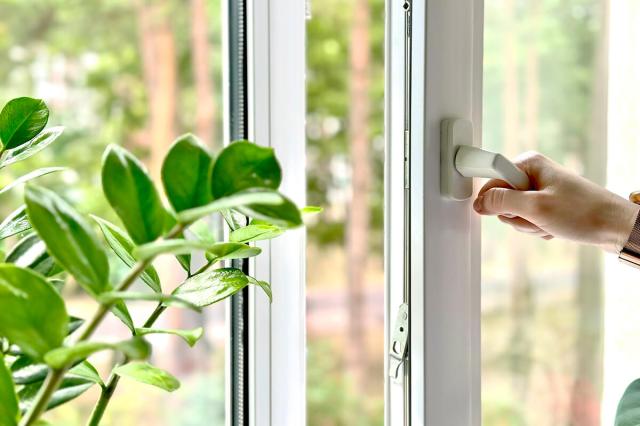 Person opening a window next to a potted plant