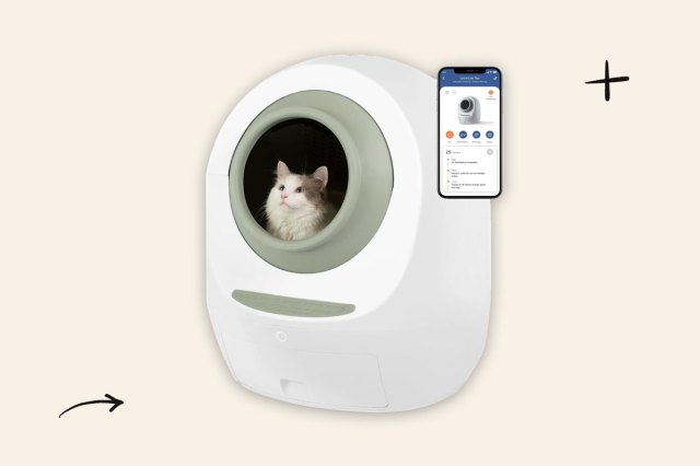 A photo of the Casa Leo Leo's Loo Too automatic litter box