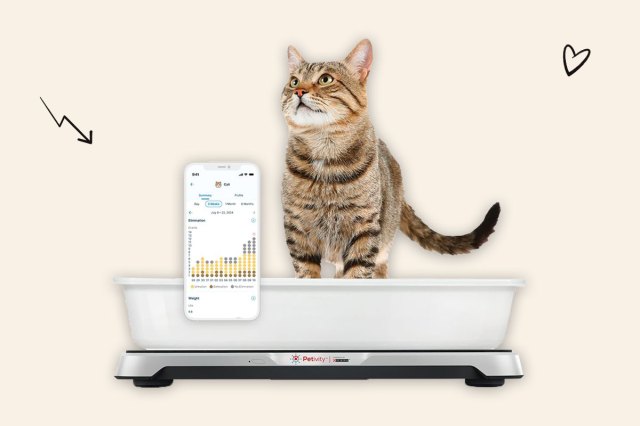 A photo of the Petivity Smart Litter Box Monitor System