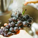 Grapes being rinsed under a faucet