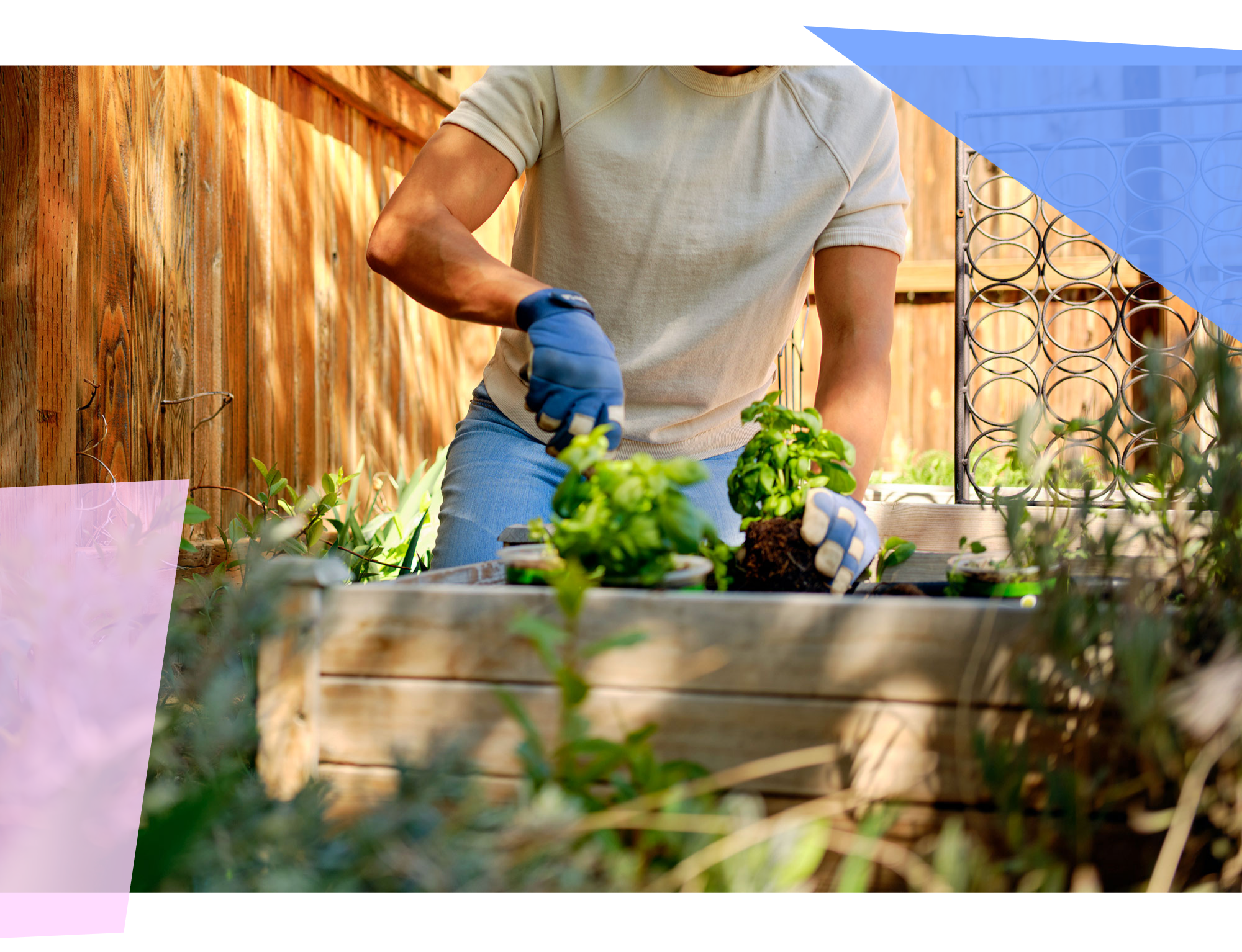 Person planting in their garden. 