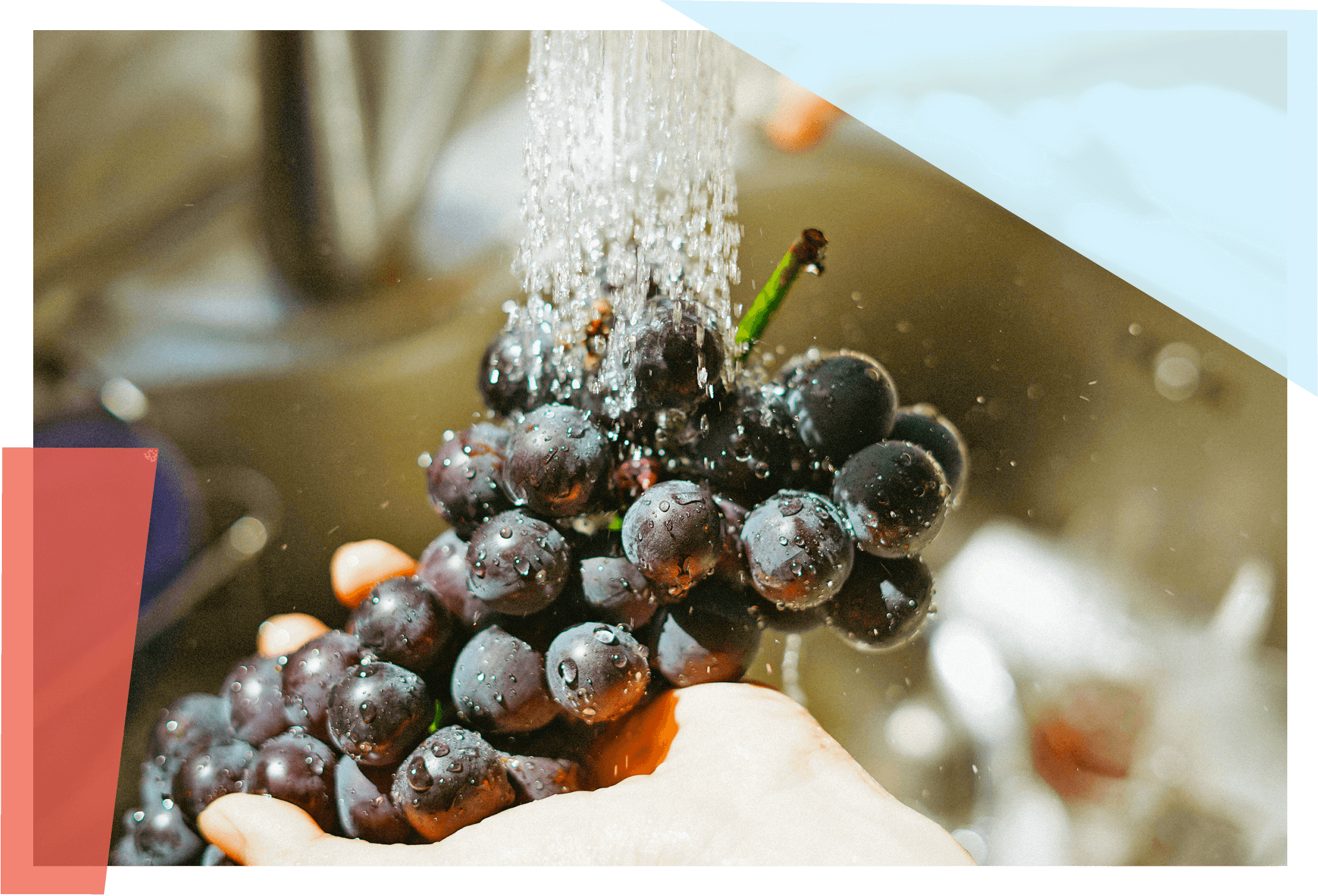 Grapes being cleaned under a running faucet 