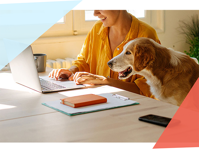Person working on a computer next to a dog