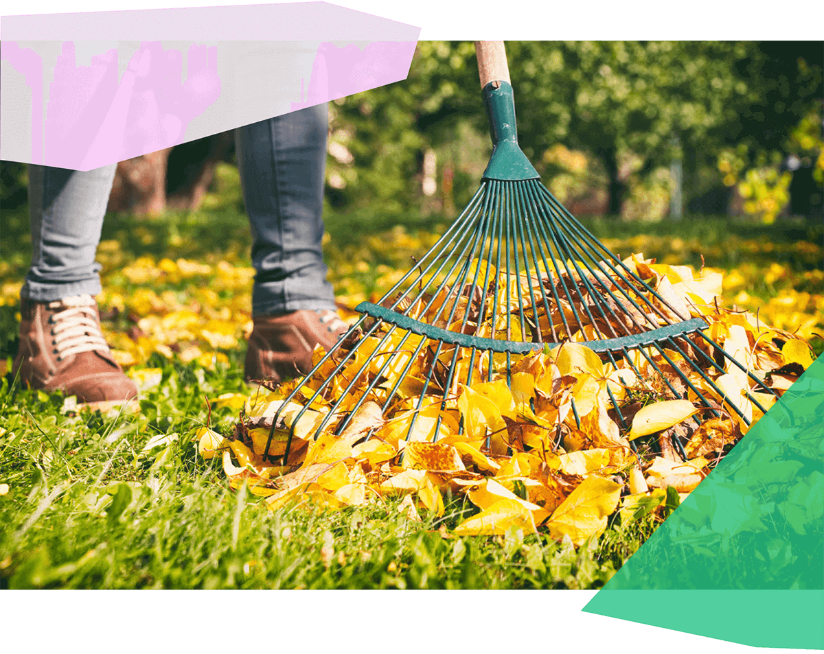 Person raking leaves 