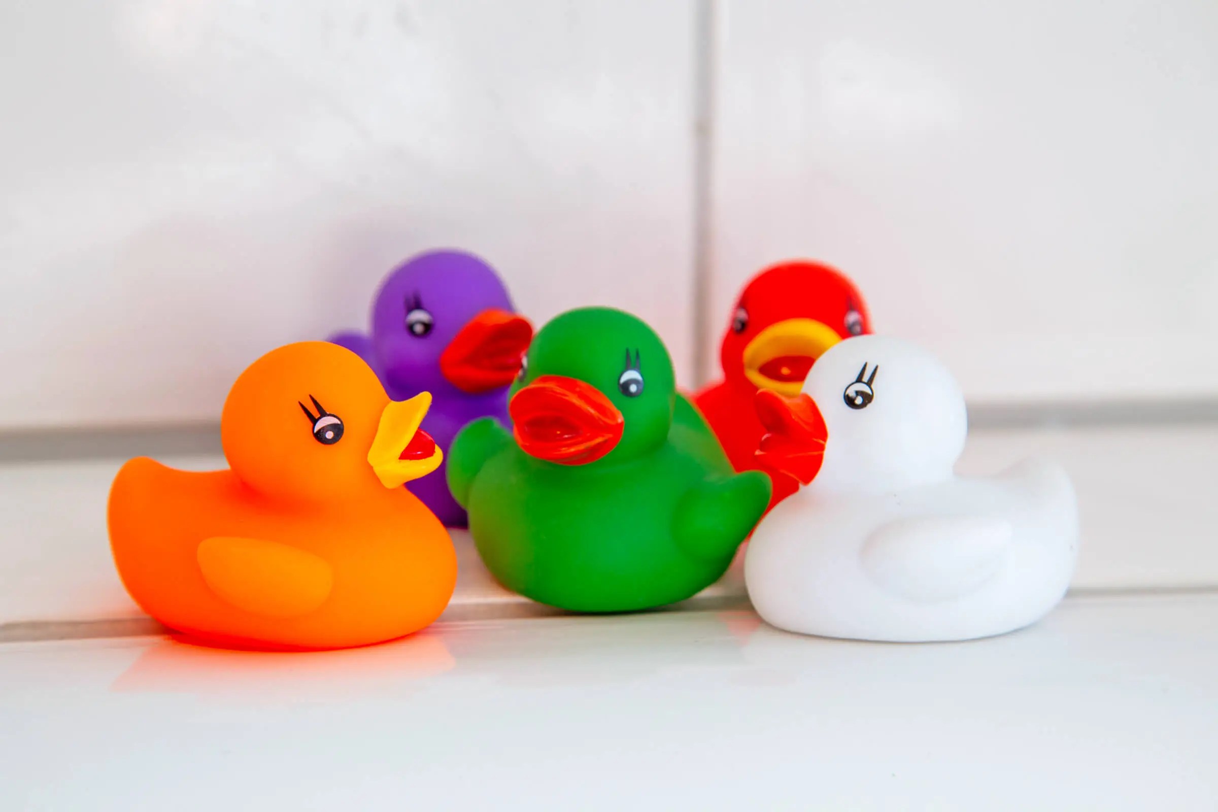 Collection of different colored rubber ducks